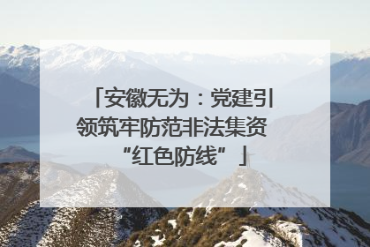 安徽无为：党建引领筑牢防范非法集资“红色防线”