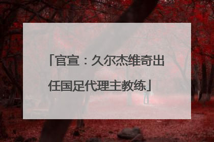 官宣：久尔杰维奇出任国足代理主教练