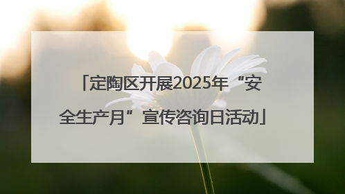 定陶区开展2025年“安全生产月”宣传咨询日活动