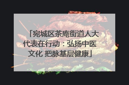 宛城区茶庵街道人大代表在行动：弘扬中医文化 把脉基层健康