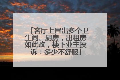 客厅上冒出多个卫生间、厨房，出租房如此改，楼下业主投诉：多少不舒服