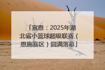 宣恩：2025年湖北省小篮球超级联赛（恩施赛区）圆满落幕