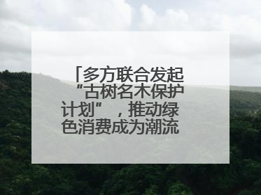 多方联合发起“古树名木保护计划”，推动绿色消费成为潮流丨新经济观察