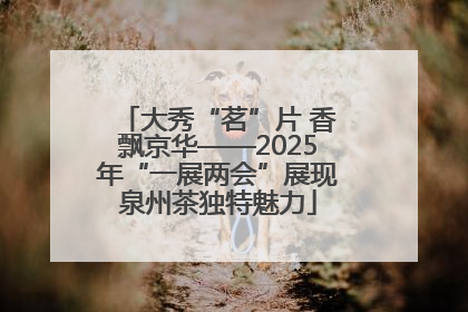 大秀“茗”片 香飘京华——2025年“一展两会”展现泉州茶独特魅力