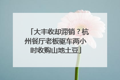 大丰收却滞销？杭州餐厅老板驱车两小时收购山地土豆