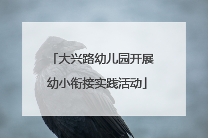 大兴路幼儿园开展幼小衔接实践活动
