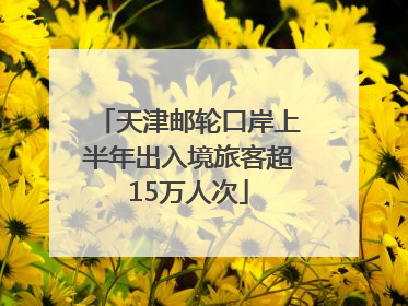 天津邮轮口岸上半年出入境旅客超15万人次