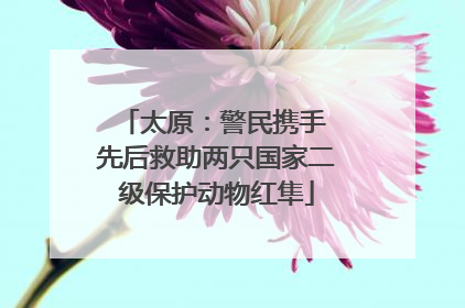 太原：警民携手 先后救助两只国家二级保护动物红隼