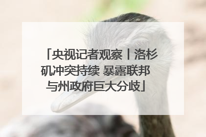 央视记者观察丨洛杉矶冲突持续 暴露联邦与州政府巨大分歧