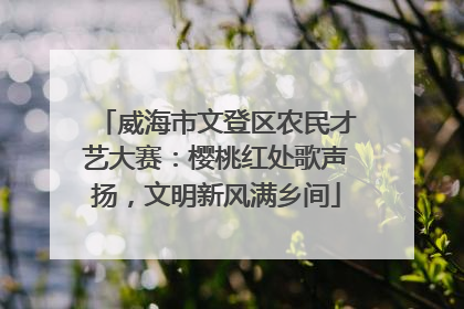 威海市文登区农民才艺大赛：樱桃红处歌声扬，文明新风满乡间