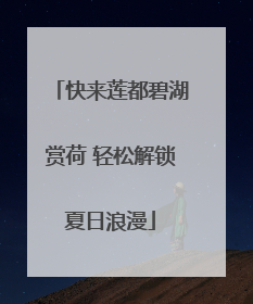 快来莲都碧湖赏荷 轻松解锁夏日浪漫
