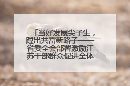 当好发展尖子生，蹚出共富新路子——省委全会部署激励江苏干部群众促进全体人民共同富裕