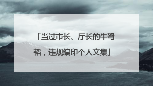 当过市长、厅长的牛弩韬,违规编印个人文集