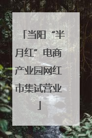 当阳“半月红”电商产业园网红市集试营业