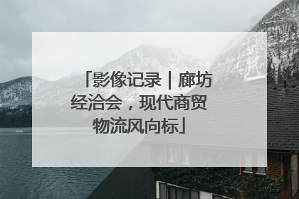 影像记录｜廊坊经洽会，现代商贸物流风向标