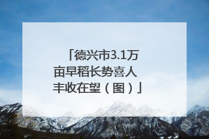 德兴市3.1万亩早稻长势喜人 丰收在望（图）