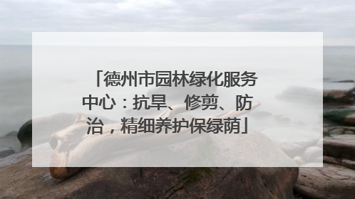 德州市园林绿化服务中心：抗旱、修剪、防治，精细养护保绿荫