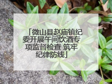 微山县赵庙镇纪委开展午间饮酒专项监督检查 筑牢纪律防线