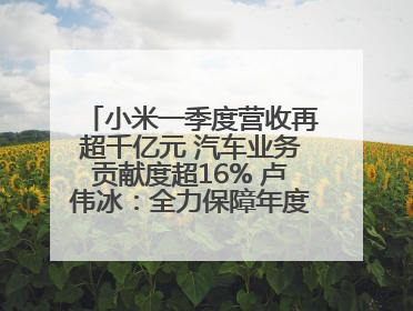 小米一季度营收再超千亿元 汽车业务贡献度超16% 卢伟冰：全力保障年度交付目标实现