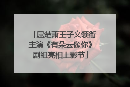屈楚萧王子文领衔主演《有朵云像你》剧组亮相上影节