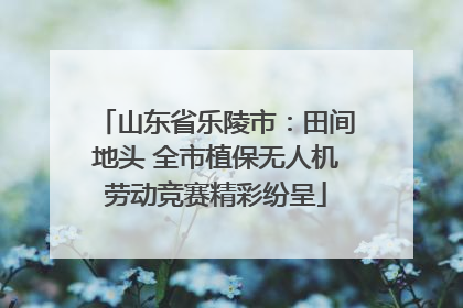山东省乐陵市：田间地头 全市植保无人机劳动竞赛精彩纷呈