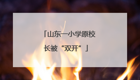 山东一小学原校长被“双开”