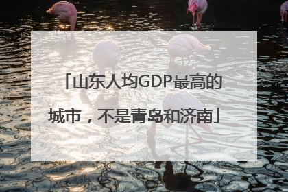 山东人均GDP最高的城市，不是青岛和济南
