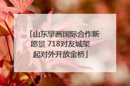 山东擘画国际合作新愿景 718对友城架起对外开放金桥
