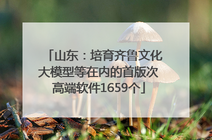 山东：培育齐鲁文化大模型等在内的首版次高端软件1659个
