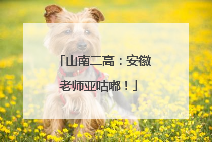 山南二高：安徽老师亚咕嘟！