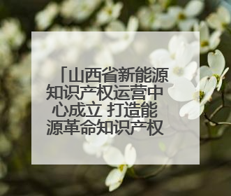 山西省新能源知识产权运营中心成立 打造能源革命知识产权新引擎
