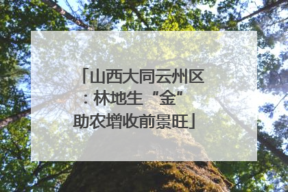山西大同云州区：林地生“金” 助农增收前景旺