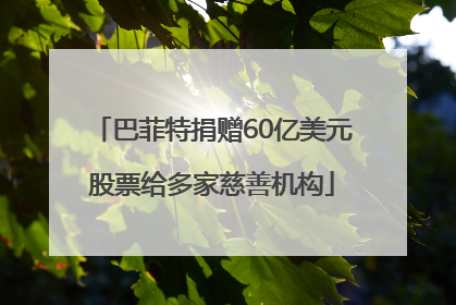 巴菲特捐赠60亿美元股票给多家慈善机构