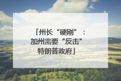 州长“硬刚”：加州需要“反击”特朗普政府