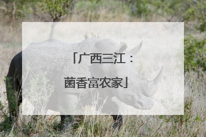 广西三江：菌香富农家
