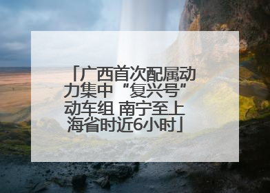 广西首次配属动力集中“复兴号”动车组 南宁至上海省时近6小时
