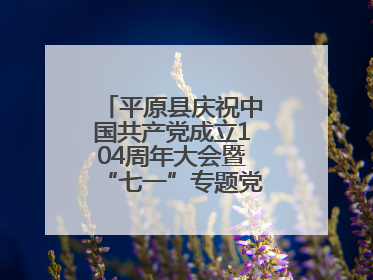 平原县庆祝中国共产党成立104周年大会暨“七一”专题党课报告会召开
