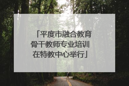 平度市融合教育骨干教师专业培训在特教中心举行