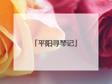 平阳寻琴记