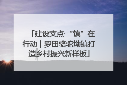 建设支点·“镇”在行动｜罗田骆驼坳镇打造乡村振兴新样板