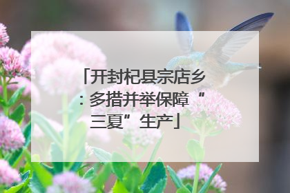开封杞县宗店乡：多措并举保障“三夏”生产