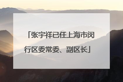张宇祥已任上海市闵行区委常委、副区长