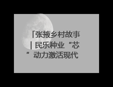 张掖乡村故事｜民乐种业“芯”动力激活现代农业新活力
