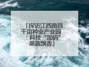 探访江西南昌千亩种业产业园：科技“加码” 果蔬飘香