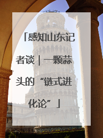 感知山东记者谈｜一颗蒜头的“链式进化论”