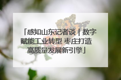 感知山东记者谈｜数字赋能工业转型 枣庄打造高质量发展新引擎