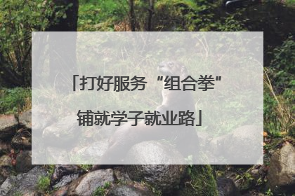 打好服务“组合拳” 铺就学子就业路