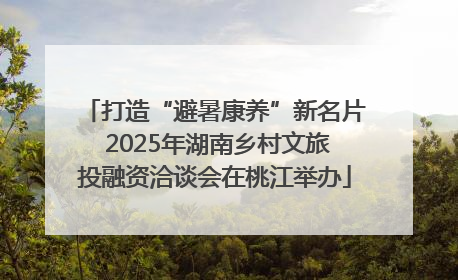 打造“避暑康养”新名片 2025年湖南乡村文旅投融资洽谈会在桃江举办