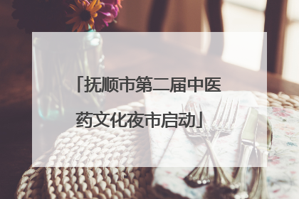 抚顺市第二届中医药文化夜市启动