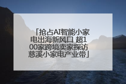 抢占AI智能小家电出海新风口 超100家跨境卖家探访慈溪小家电产业带